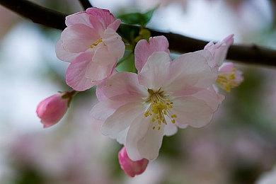 《冥界契约》现已发售，暗黑美学动作肉鸽，别样的魂味
